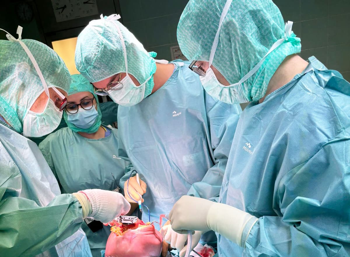 Chirurgia ortopedica